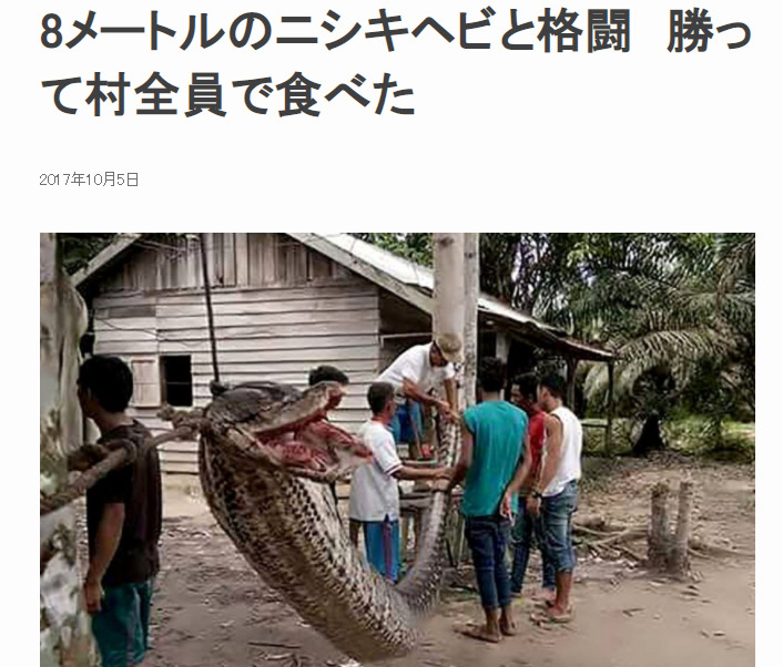 巨大　蛇　ニシキヘビ　