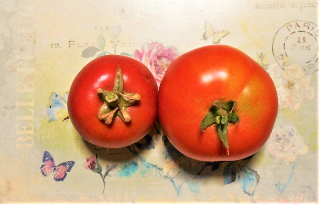 家庭菜園　100均　種　野菜　収穫　ほうれん草　トマト　キュウリ　ブロッコリー