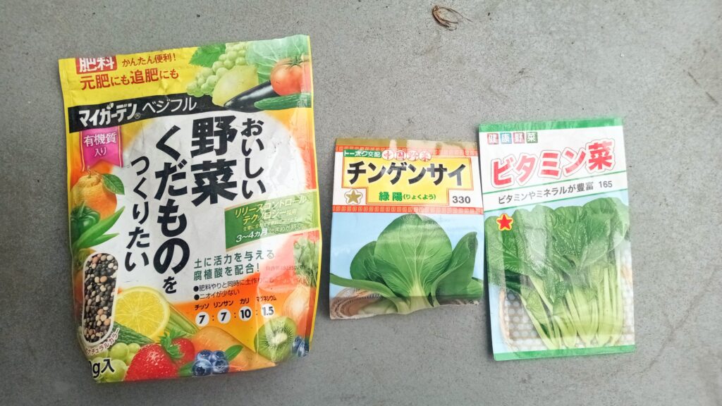 家庭菜園　2023　秋　 ビタミン菜　チンゲン菜