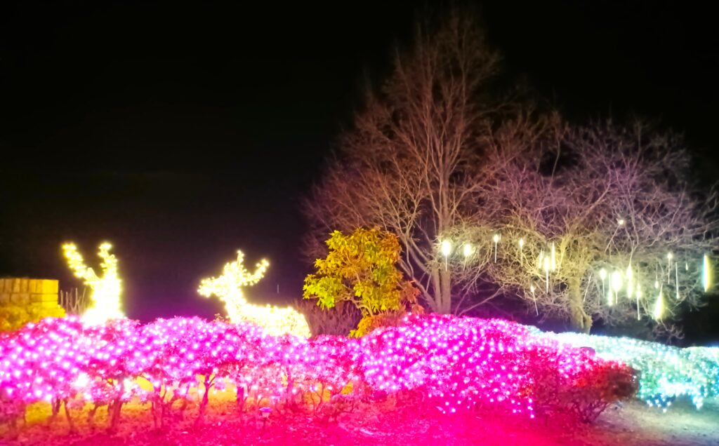 ハイジの村　クリスマスイルミネーション　山梨県　北杜市