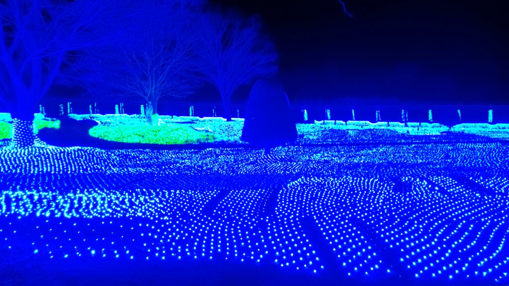 ハイジの村　クリスマスイルミネーション　山梨県　北杜市