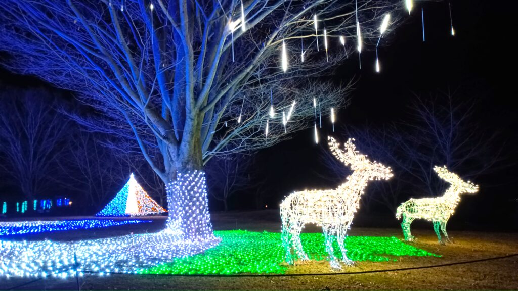 ハイジの村　クリスマスイルミネーション　山梨県　北杜市