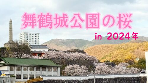 【甲府散策】舞鶴城公園の桜の不思議な咲き方とは？山梨の春を彩る桜の魅力 マベル部ログ