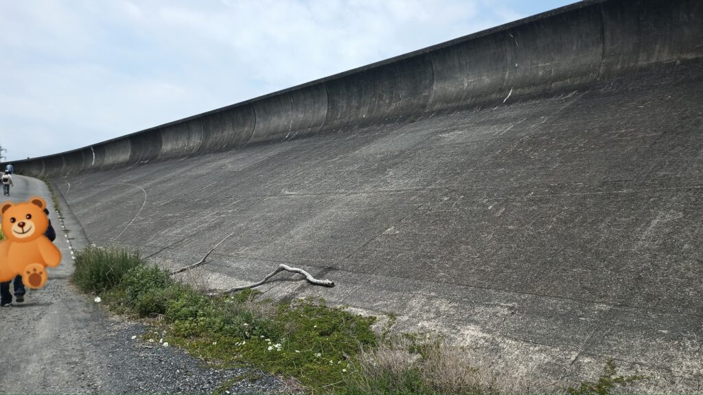 消しゴムマジック前 海岸