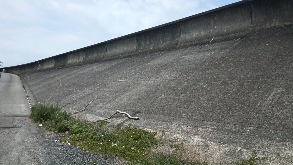 消しゴムマジック後 海岸