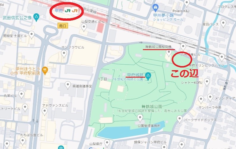 2024　紫陽花　あじさい　甲府城跡　舞鶴城公園