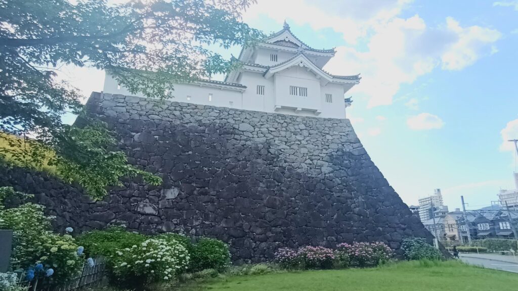 2024　紫陽花　あじさい　甲府城跡　舞鶴城公園