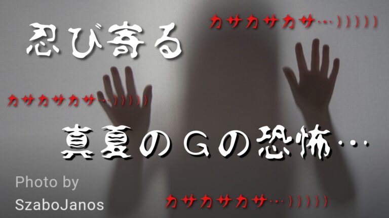 ゴキブリ対策　玄関ベランダ用コンバット　ゴキブリがいなくなるスプレーなど