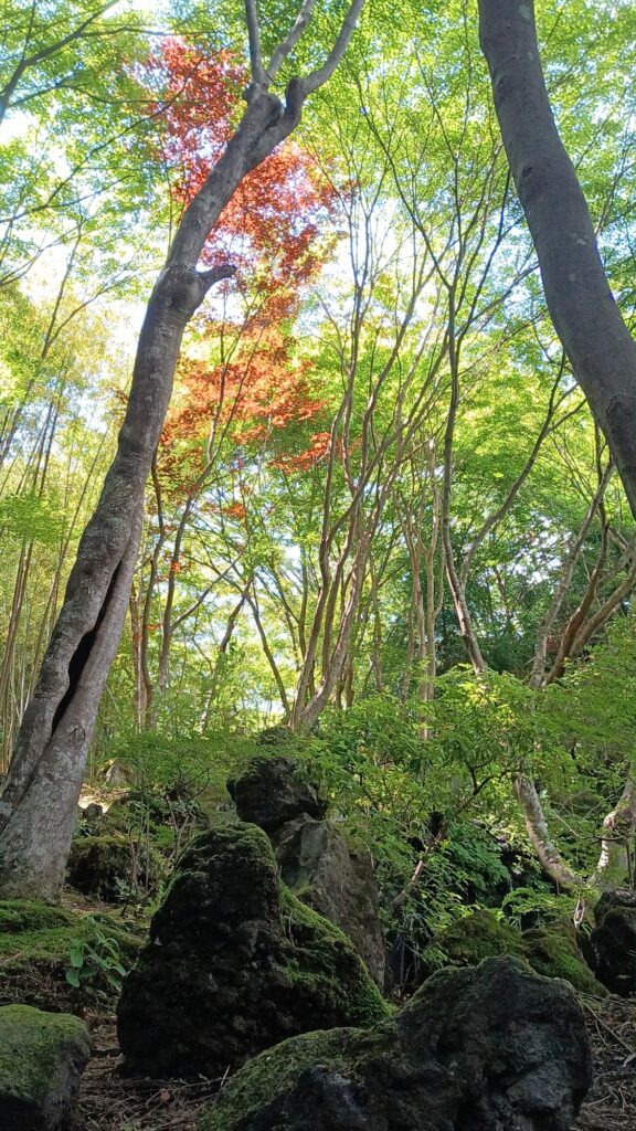 山梨県 河口湖 久保田一竹美術館