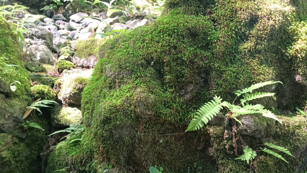 山梨県 河口湖 久保田一竹美術館