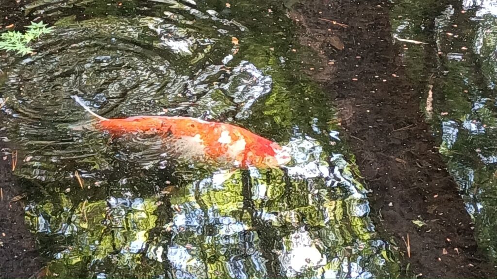 山梨県 河口湖 久保田一竹美術館