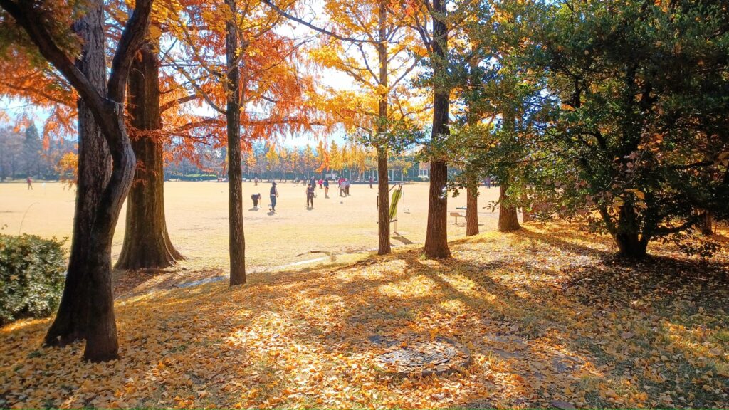 アラフォー　ウォーキング　筋トレ　2ヵ月経過　地域猫の誘惑が半端ない