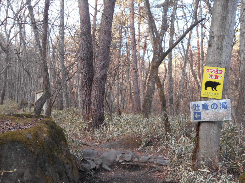 吐竜の滝　山梨観光　紅葉　釣りスポット　