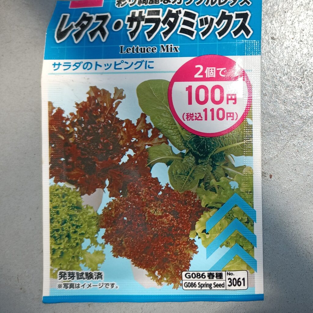 2025年 春 家庭菜園レタス
