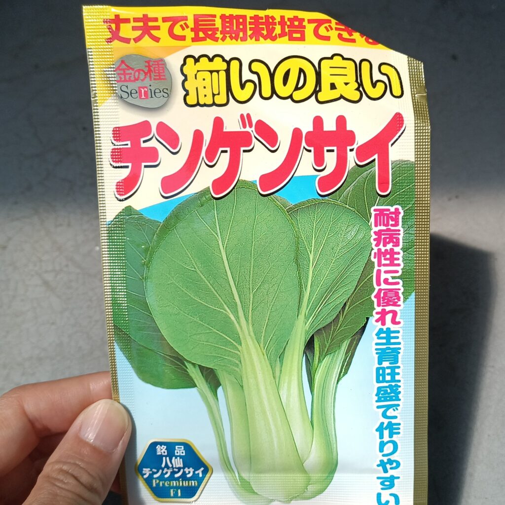 家庭菜園 プランター栽培 チンゲン菜 2025