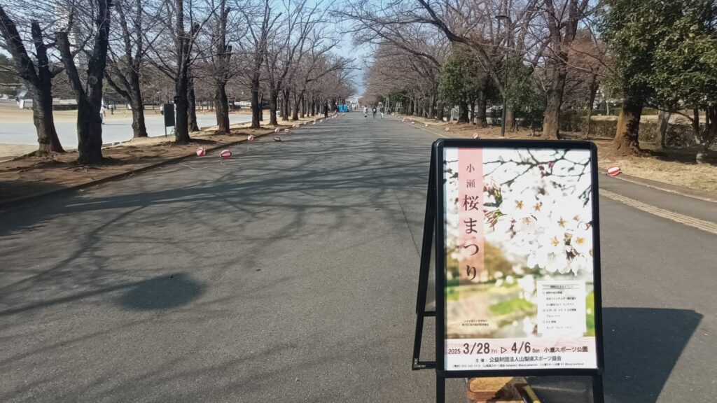 3月26日　小瀬ウォーキング　桜