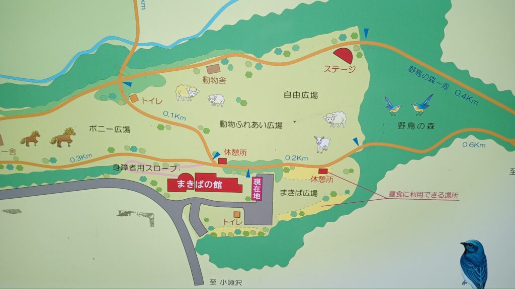 山梨 八ヶ岳 避暑地 家族旅行やデートにも♪ まきば公園