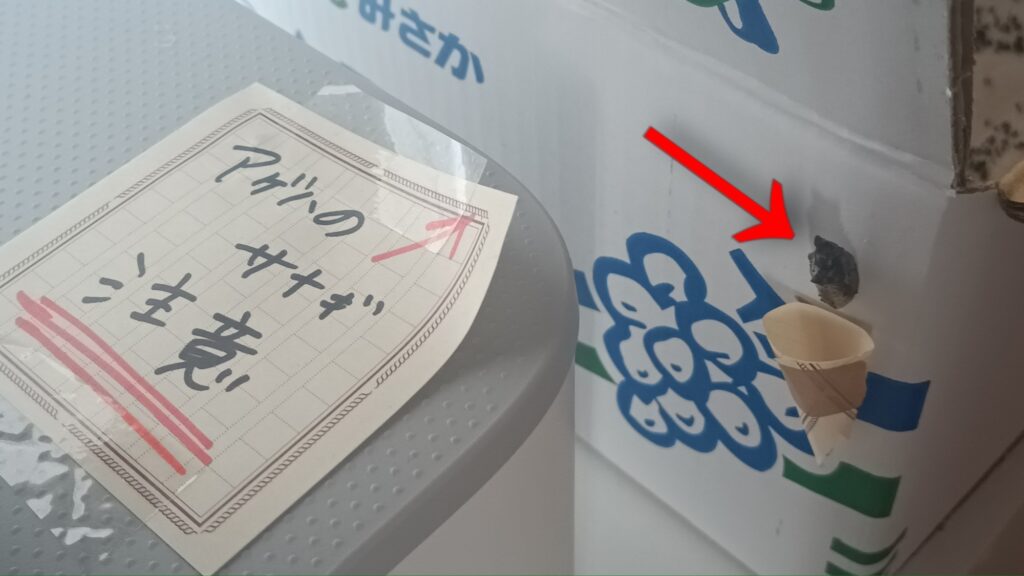 蝶々の観察日記と黒い蝶の話