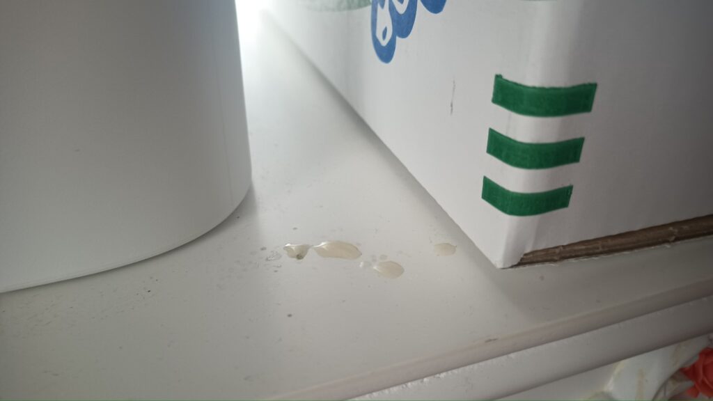 蝶々の観察日記と黒い蝶の話