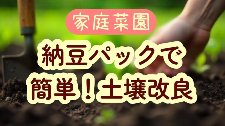 納豆パック で土壌改良 家庭菜園