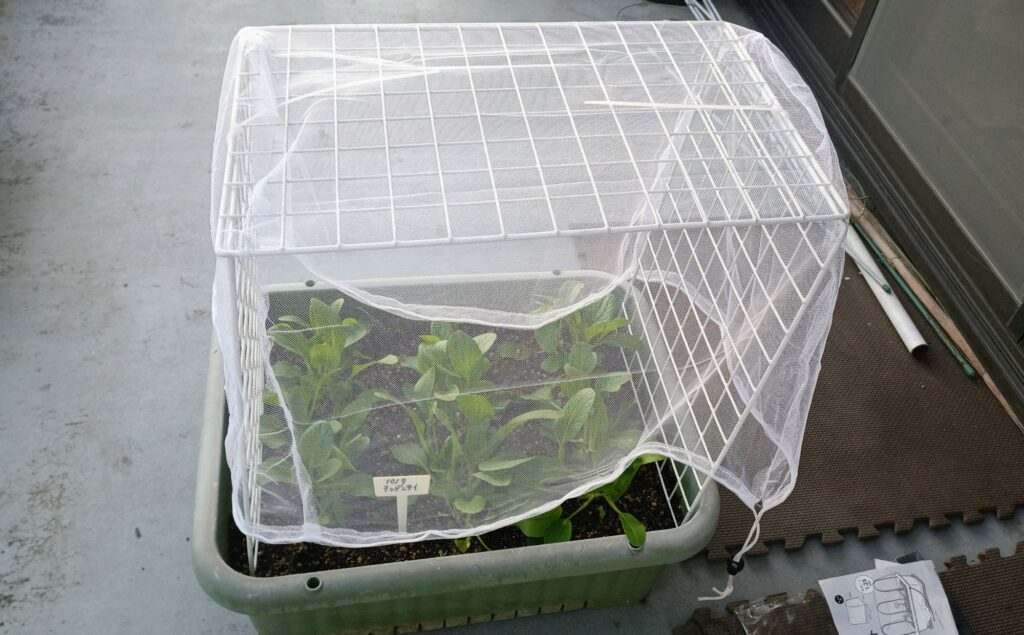 セリア 防虫ネット 虫よけネット