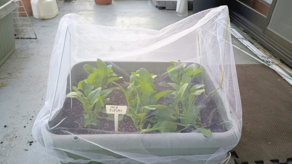 セリア 防虫ネット 虫よけネット