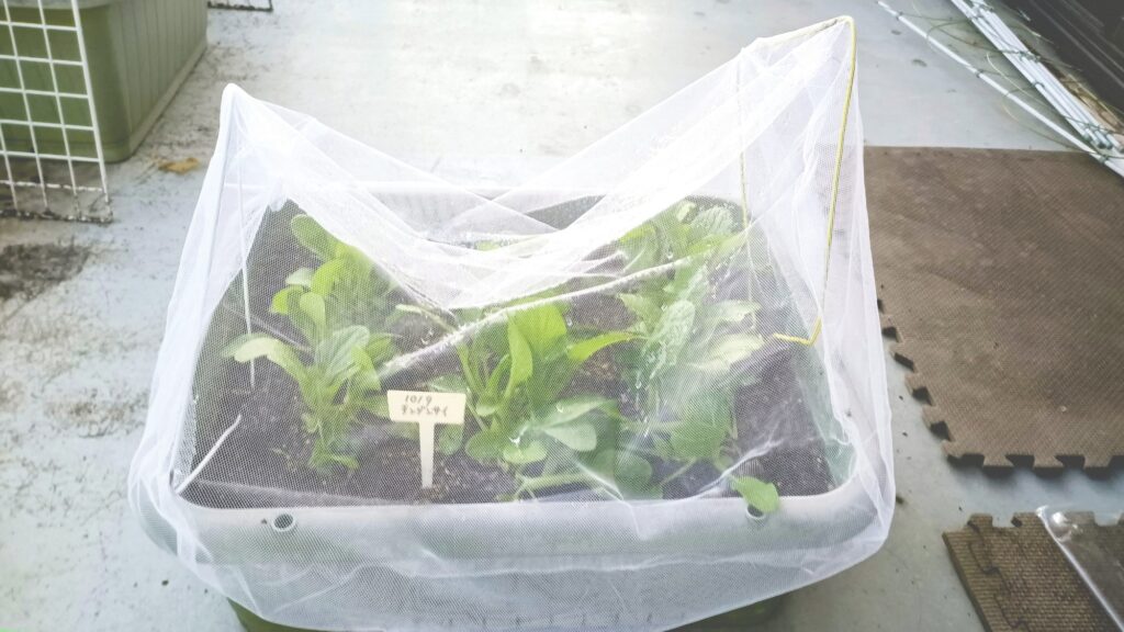 セリア 防虫ネット 虫よけネット