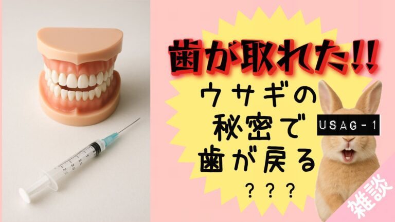 第三の歯が生える？USAG-1を阻止 すれば失った歯を取り戻せるのか
