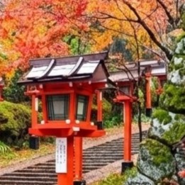 京都 鞍馬寺 石灯篭 gemini ナノバナナ