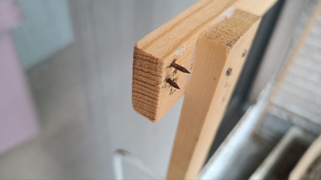 ミニビニールハウス 第二弾 100均 ワイヤーネット