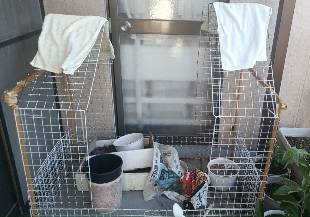 ミニビニールハウス 第二弾 100均 ワイヤーネット