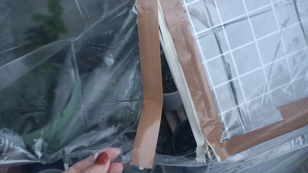 ミニビニールハウス 第二弾 100均 ワイヤーネット