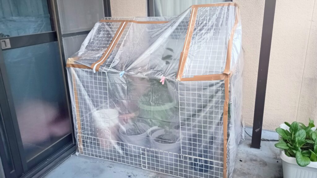 ミニビニールハウス 第二弾 100均 ワイヤーネット