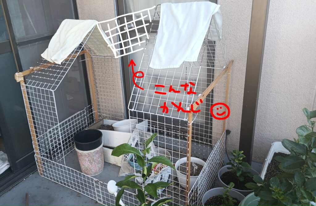 ミニビニールハウス 第二弾 100均 ワイヤーネット