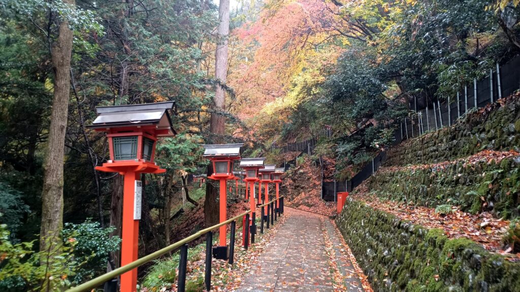 京都 鞍馬寺 多宝塔から本殿までの参道 紅葉と並ぶ赤灯篭