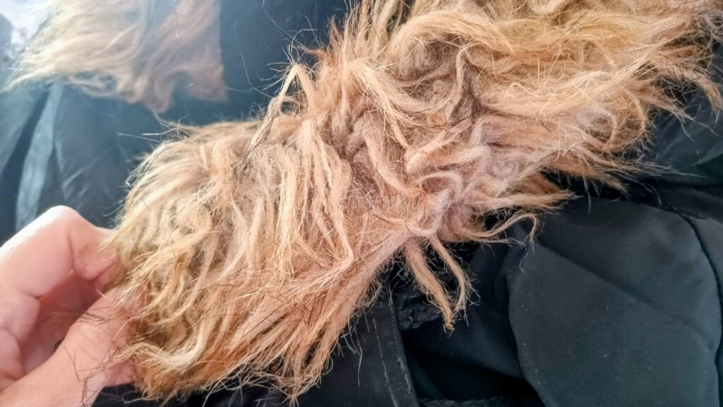 ファーをふわふわに戻す方法