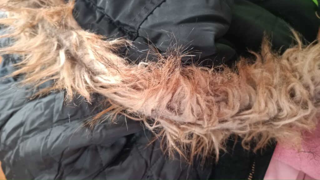 ファーをふわふわに戻す方法