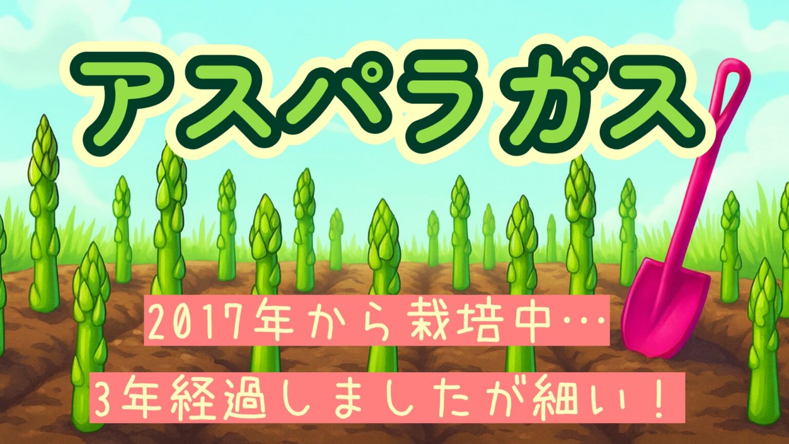 アスパラガス 2021-2022 家庭菜園