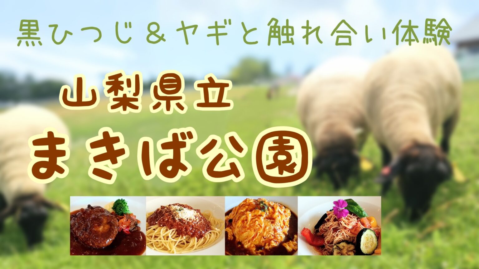 山梨県 八ヶ岳 まきば公園 とレストラン