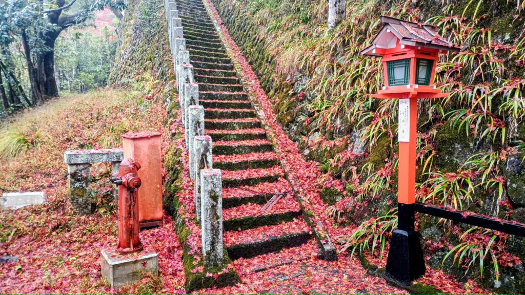 京都 鞍馬寺 紅葉が落ちて染まった石段と、赤灯篭、赤い消火栓