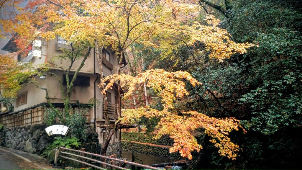 京都 鞍馬寺 貴船神社 ウォーキング 日帰りバスツアー