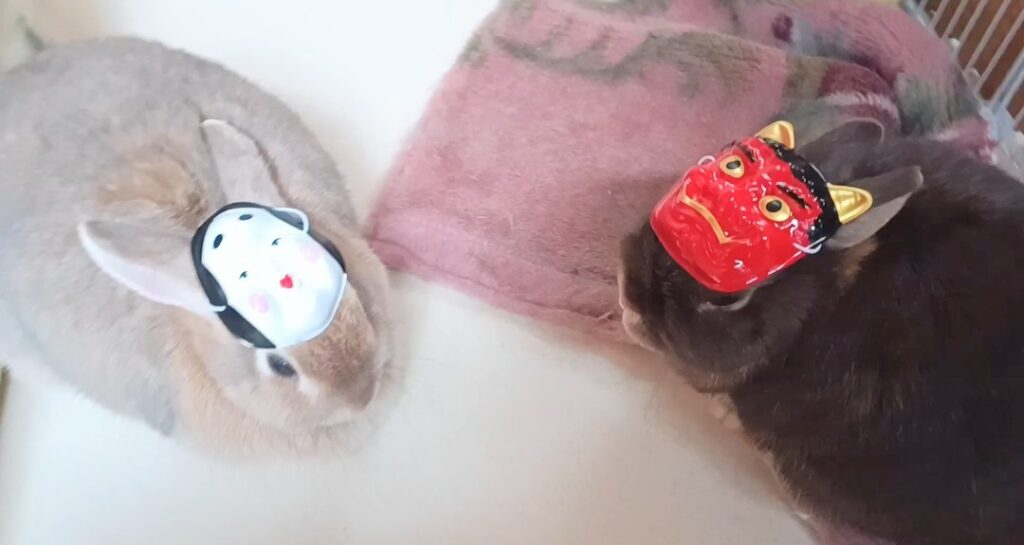 ミニお面をかぶったウサギ２羽