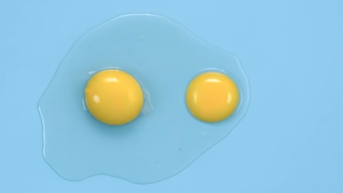 サブスタンス 冒頭の卵の実験