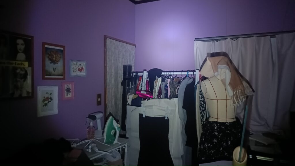 ダイソー ホイッスルライト 防災ボトル 使ったレビュー