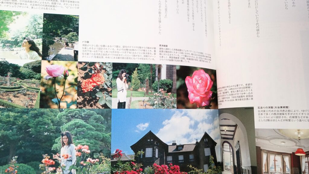 駒込 旧古川庭園の記事