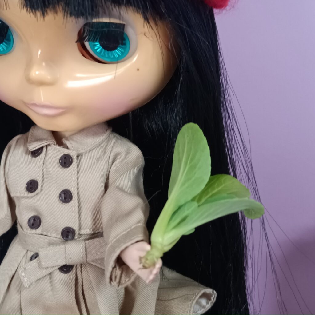 ブライス チンゲン菜