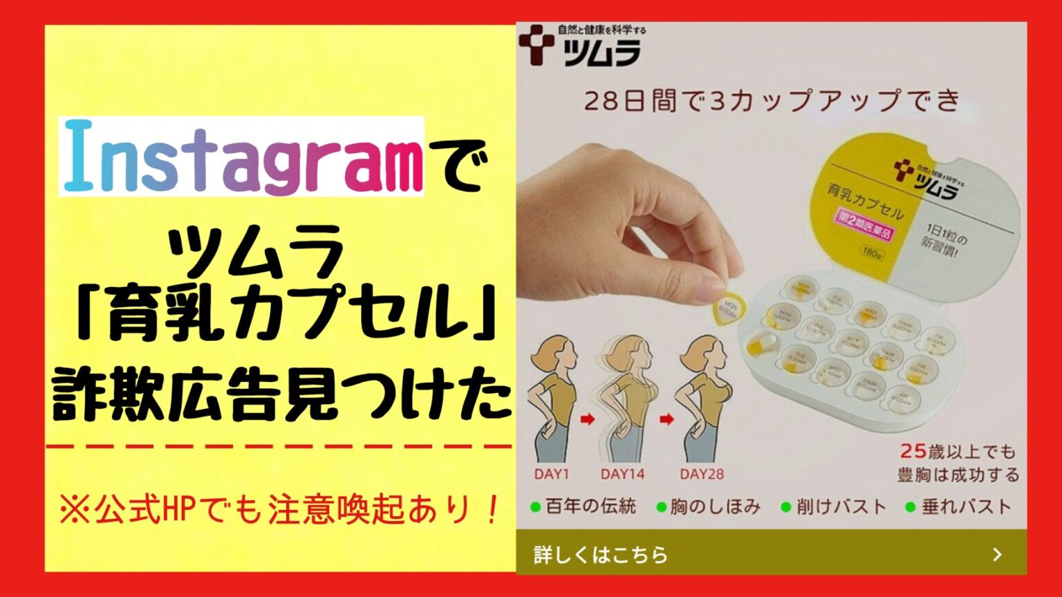 インスタグラム　Instagram　詐欺　偽広告　ツムラ　育乳カプセル　ダイエット顆粒