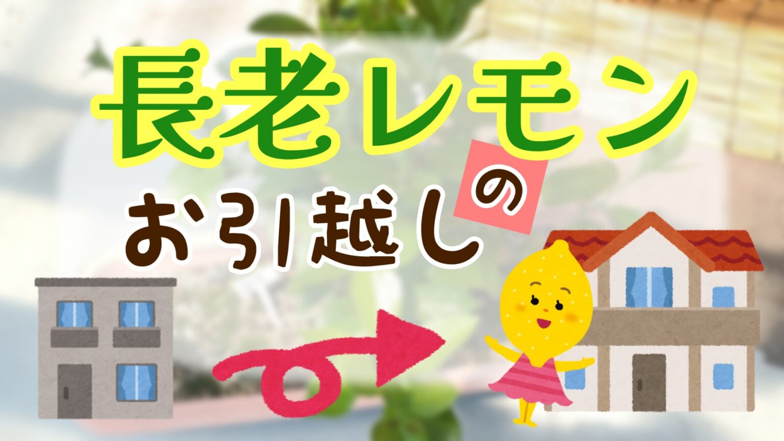 2021年に種を植えたレモンのお引越し