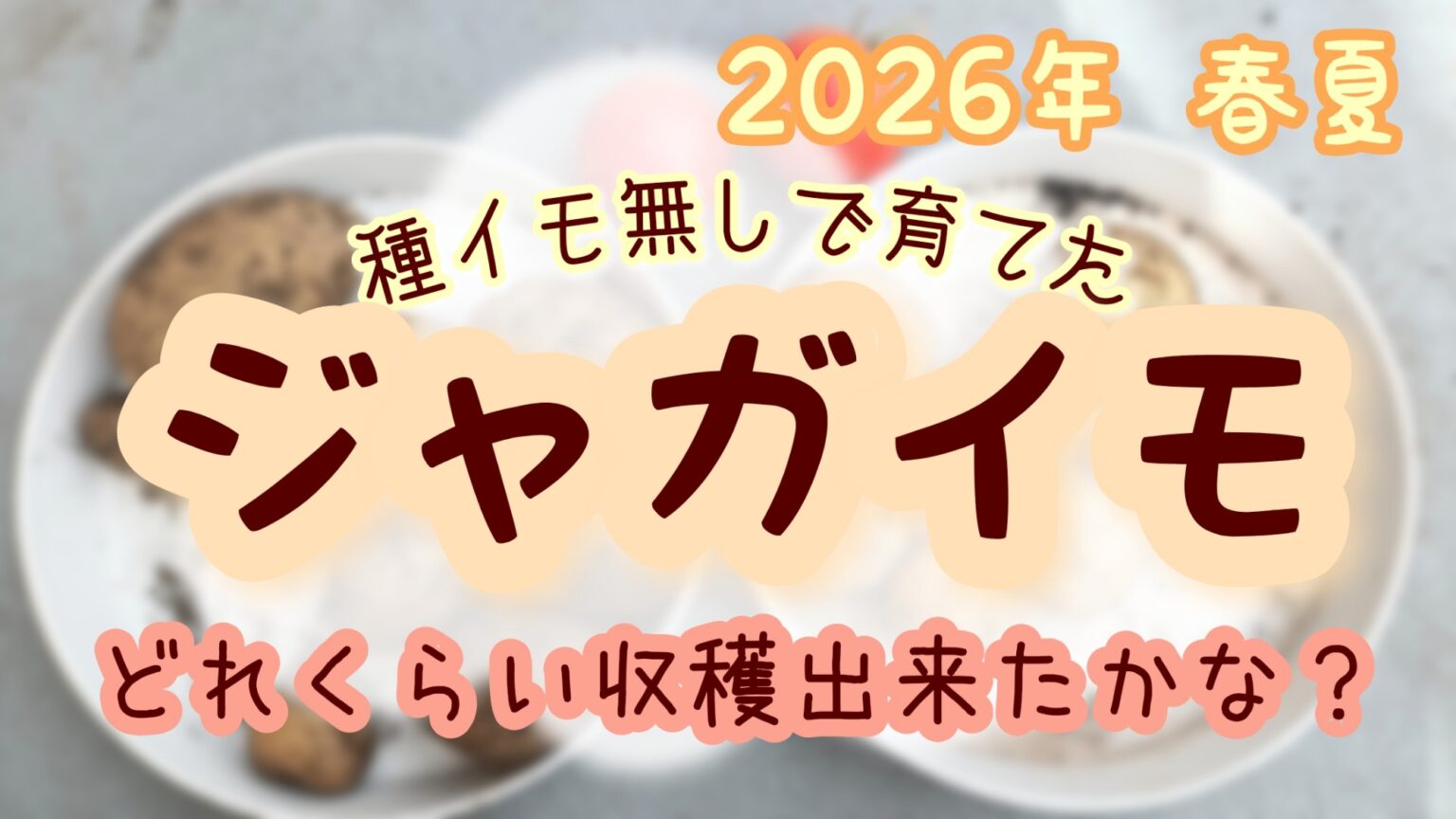 種芋なしのじゃがいも栽培